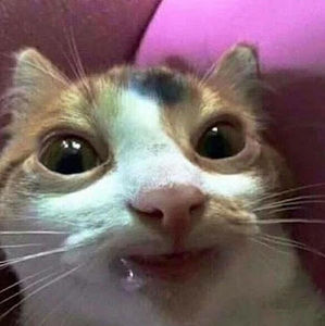 Meet your Posher, Lucy